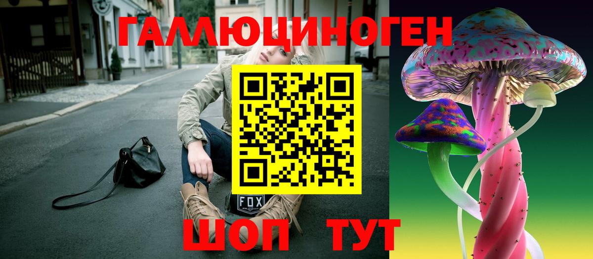 Клинцы  Галлюциногенные грибы Cubensis  Псилоцибиновые грибы Cubensis  Вход с VPN 