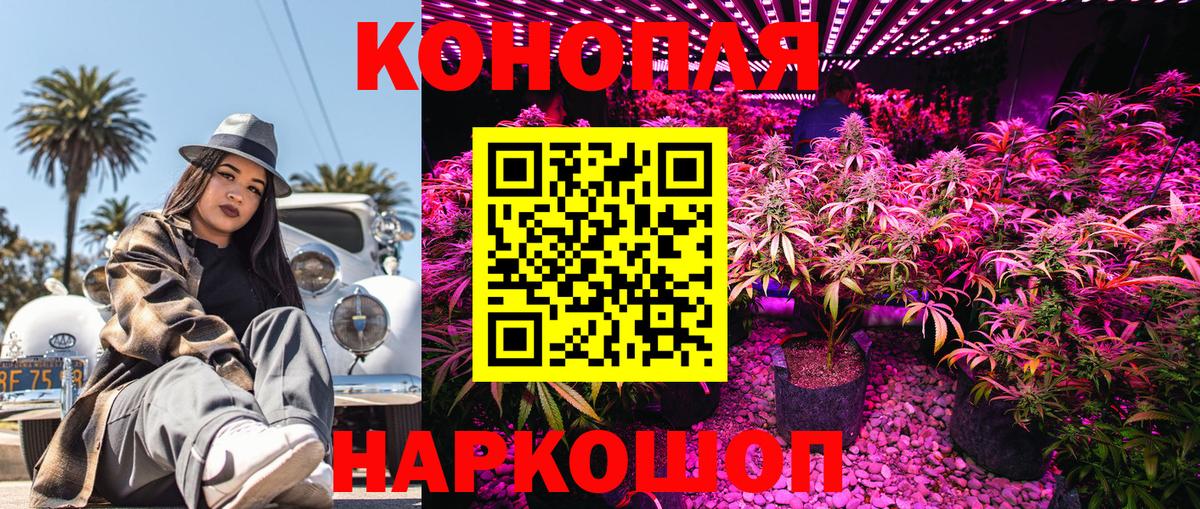 Каннабис индика Клинцы